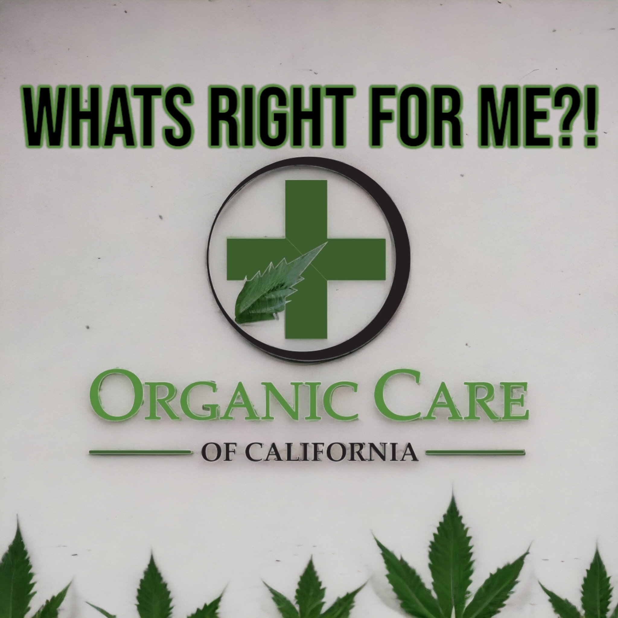 Organic Care of California: Legal Recreational Cannabis Delivery